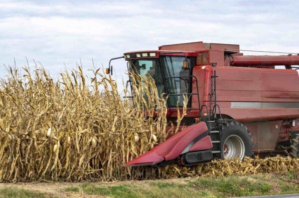 Vehículo que utiliza llantas agrícolas trabajando en maizal